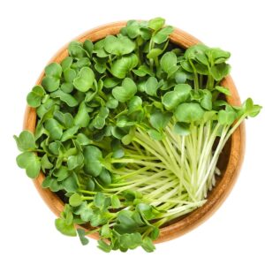 Green Radish Microgreens