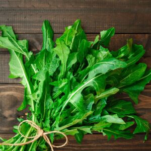 Rocket Lettuce/Arugula