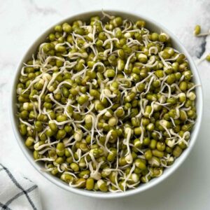Mung Bean Sprouts