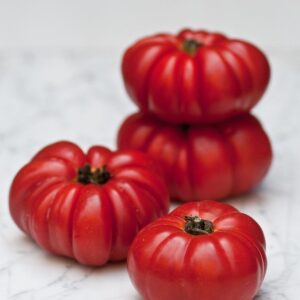 Beef Tomato