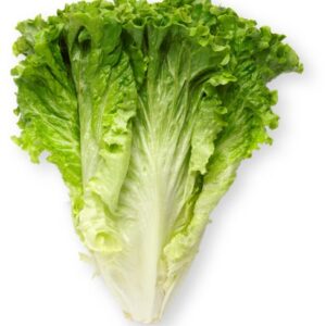 Lettuce Green