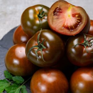 Brown Tomato