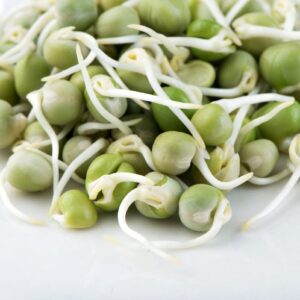 Peas Sprouts