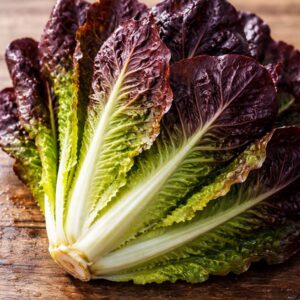 Lettuce Lolo Rossa