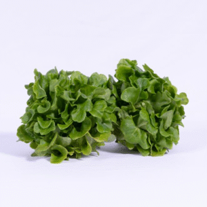 Lettuce Salanova Green