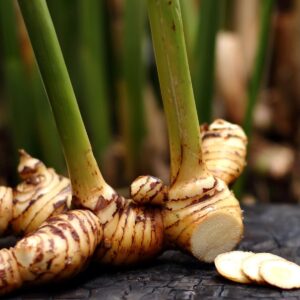 Galangal