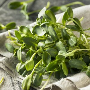 Sunflower Microgreens