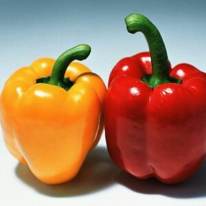 Color Capsicums