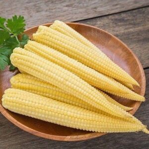Baby Corn