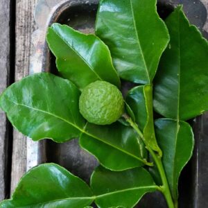 Makrut/Kafir Lime leaves