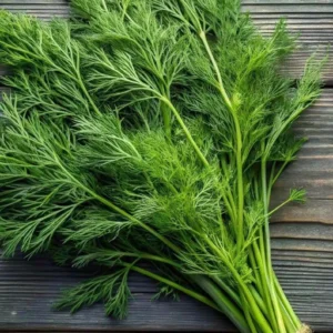 Dill Leaves