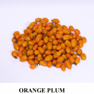 Yellow Cherry Tomato Plum Varieties